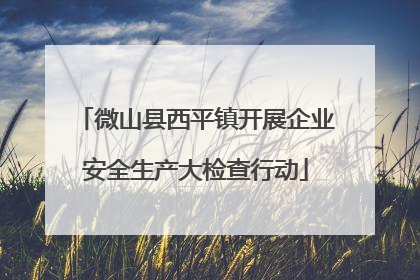 微山县西平镇开展企业安全生产大检查行动