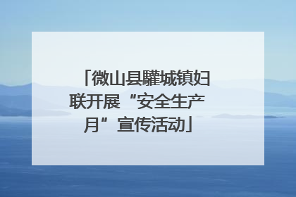 微山县驩城镇妇联开展“安全生产月”宣传活动