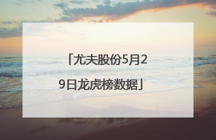 尤夫股份5月29日龙虎榜数据