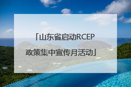 山东省启动RCEP政策集中宣传月活动