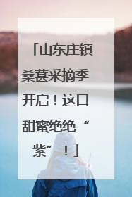 山东庄镇桑葚采摘季开启！这口甜蜜绝绝“紫”！