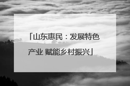 山东惠民：发展特色产业 赋能乡村振兴