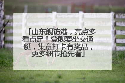 山东舰访港，亮点多看点足！登舰要坐交通艇，集章打卡有奖品，更多细节抢先看
