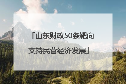 山东财政50条靶向支持民营经济发展