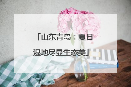 山东青岛：夏日湿地尽显生态美