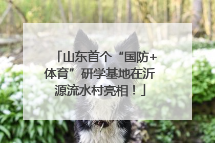 山东首个“国防+体育”研学基地在沂源流水村亮相！