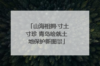 山海相拥·寸土寸珍 青岛绘就土地保护新图景