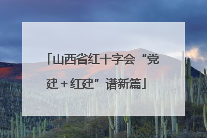 山西省红十字会“党建＋红建”谱新篇