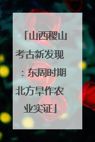 山西稷山考古新发现：东周时期北方旱作农业实证