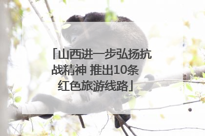 山西进一步弘扬抗战精神 推出10条红色旅游线路