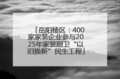 岳阳楼区：400家家装企业参与2025年家装厨卫“以旧换新”民生工程