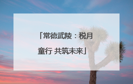 常德武陵：税月童行 共筑未来