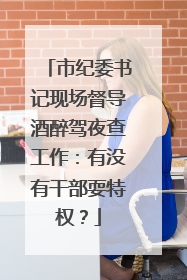 市纪委书记现场督导酒醉驾夜查工作：有没有干部耍特权？