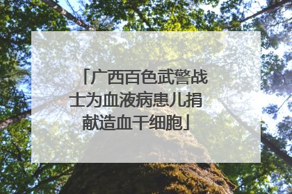 广西百色武警战士为血液病患儿捐献造血干细胞