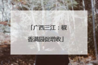 广西三江：椒香满园促增收