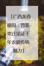 广西龙脊梯田：背篓变迁见证千年农耕传统魅力