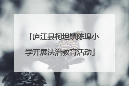 庐江县柯坦镇陈埠小学开展法治教育活动