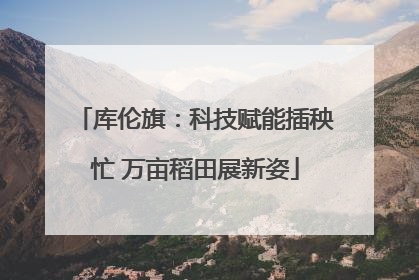 库伦旗：科技赋能插秧忙 万亩稻田展新姿