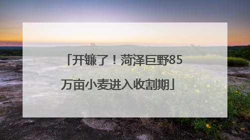 开镰了！菏泽巨野85万亩小麦进入收割期