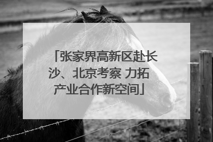张家界高新区赴长沙、北京考察 力拓产业合作新空间