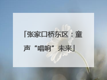 张家口桥东区：童声“唱响”未来