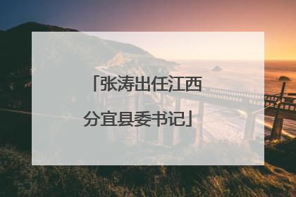 张涛出任江西分宜县委书记