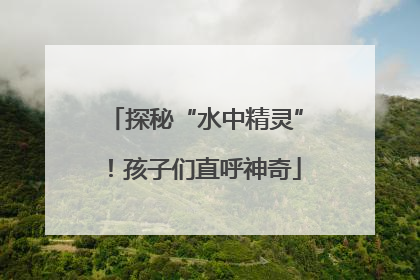 探秘“水中精灵”！孩子们直呼神奇
