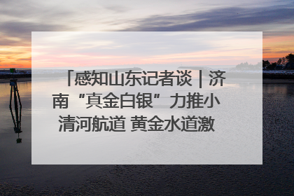 感知山东记者谈｜济南“真金白银”力推小清河航道 黄金水道激活区域经济新动能