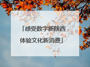 感受数字新陕西 体验文化新消费