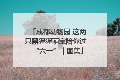 成都动物园 这两只黑猩猩萌宝陪你过“六一”｜图集