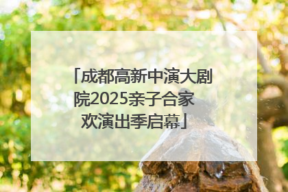 成都高新中演大剧院2025亲子合家欢演出季启幕