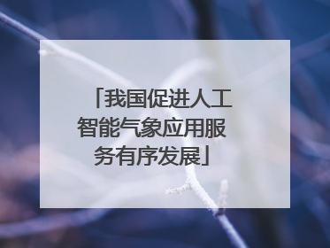 我国促进人工智能气象应用服务有序发展