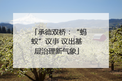 承德双桥：“蚂蚁”议事 议出基层治理新气象