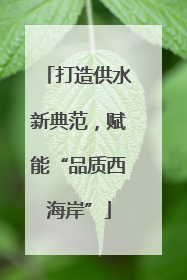 打造供水新典范，赋能“品质西海岸”
