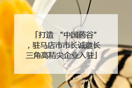 打造 “中国药谷”，驻马店市市长诚邀长三角高精尖企业入驻