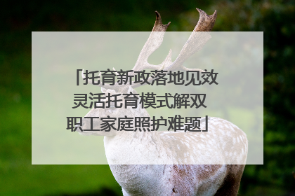 托育新政落地见效 灵活托育模式解双职工家庭照护难题