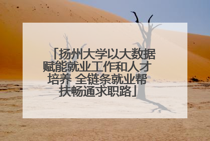 扬州大学以大数据赋能就业工作和人才培养 全链条就业帮扶畅通求职路
