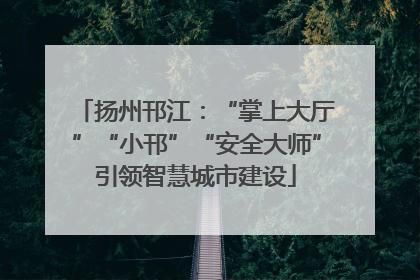 扬州邗江：“掌上大厅”“小邗”“安全大师”引领智慧城市建设