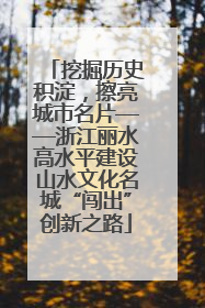 挖掘历史积淀，擦亮城市名片——浙江丽水高水平建设山水文化名城“闯出”创新之路