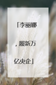 李丽娜，履新万亿央企