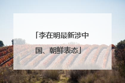 李在明最新涉中国、朝鲜表态