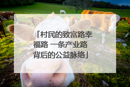 村民的致富路幸福路 一条产业路背后的公益脉络