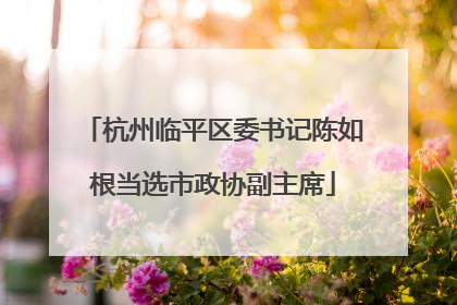 杭州临平区委书记陈如根当选市政协副主席