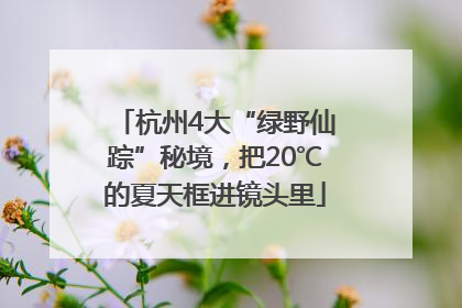 杭州4大“绿野仙踪”秘境，把20℃的夏天框进镜头里