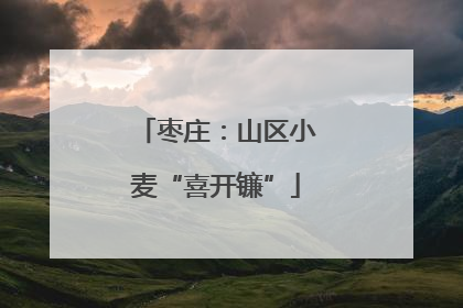 枣庄：山区小麦“喜开镰”