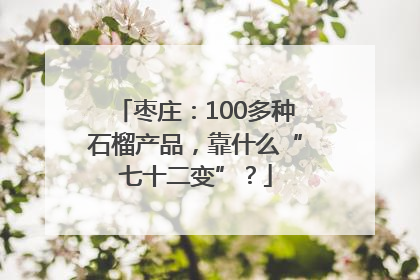 枣庄：100多种石榴产品，靠什么“七十二变”？