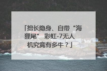 擅长隐身、自带“海狸尾” 彩虹-7无人机究竟有多牛？