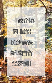 政企协同 赋能长沙高铁新城自贸经济圈