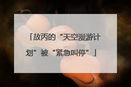 敖丙的“天空漫游计划”被“紧急叫停”