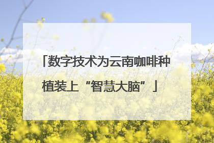 数字技术为云南咖啡种植装上“智慧大脑”